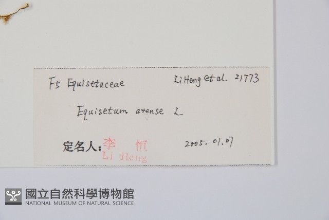 問荊藏品圖，第2張