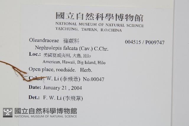 登錄號:P009747藏品圖，第2張