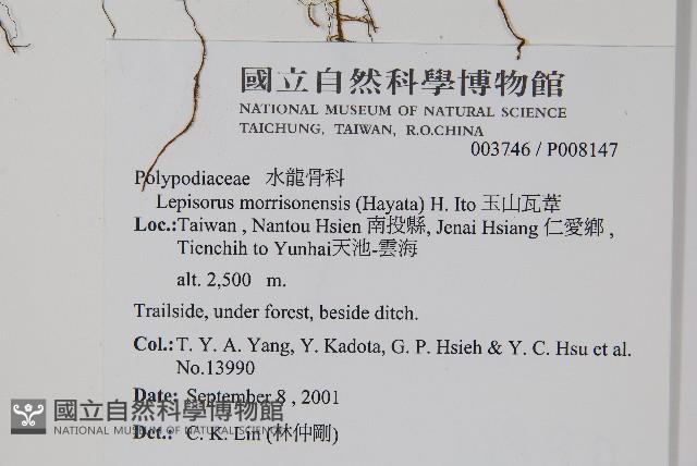 玉山瓦葦藏品圖，第2張