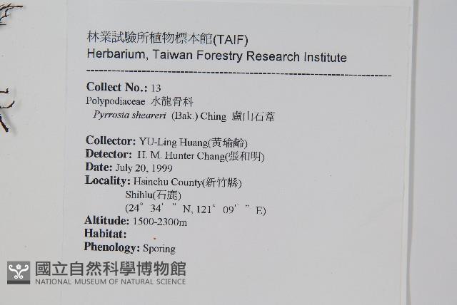 盧山石葦藏品圖，第2張