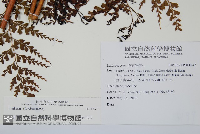 登錄號:P011847藏品圖，第2張