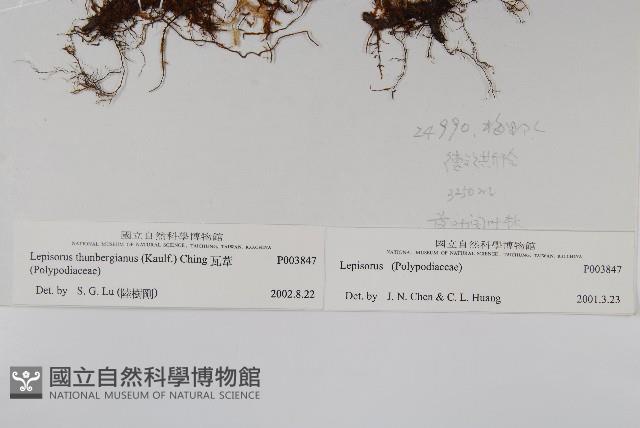 瓦葦藏品圖，第2張