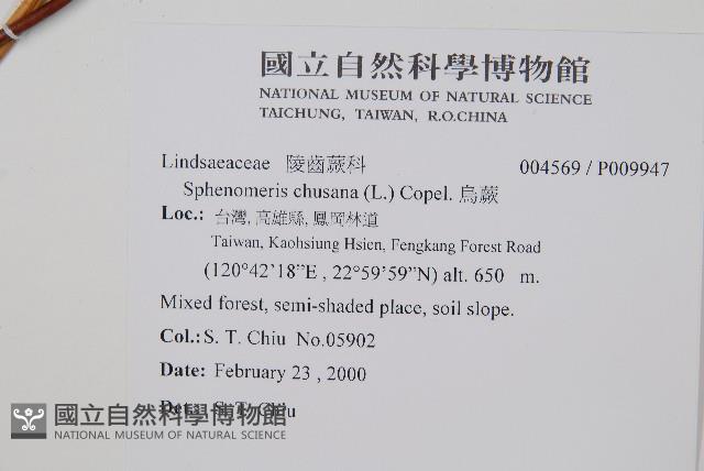 烏蕨藏品圖，第2張