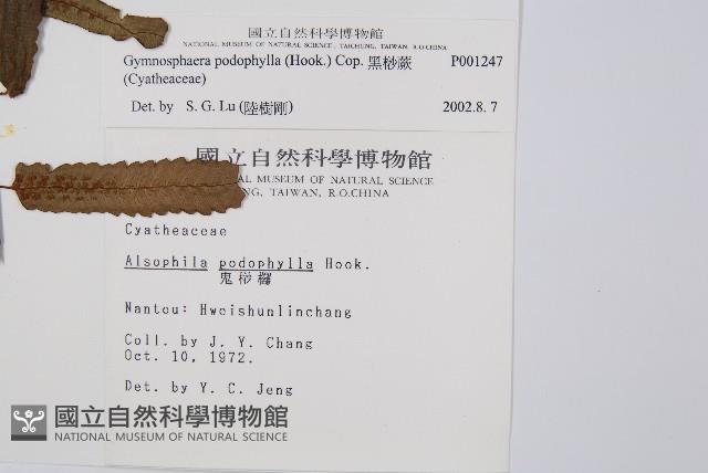 Accession Number:P001247 Collection Image, Figure 2, Total 5 Figures