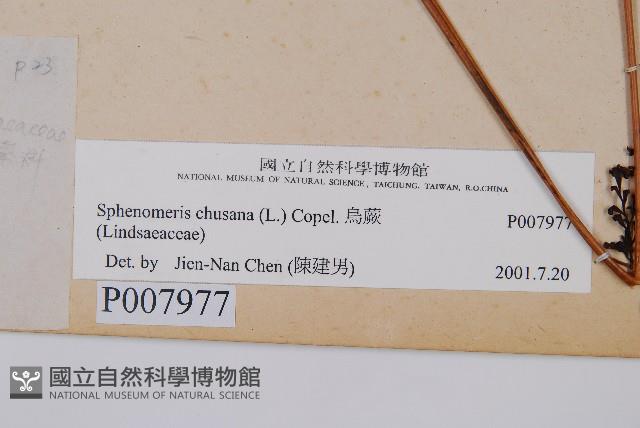 烏蕨藏品圖，第2張