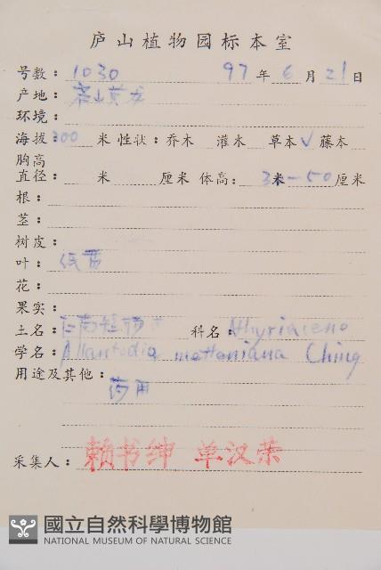 江南短腸蕨藏品圖，第1張