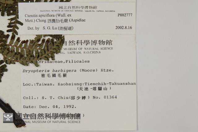 Accession Number:P002777 Collection Image, Figure 2, Total 5 Figures