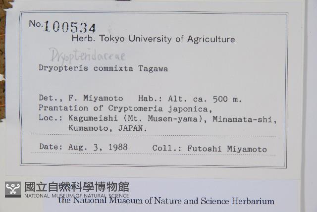 登錄號:P012777藏品圖，第2張