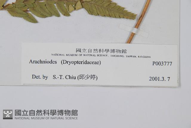 登錄號:P003777藏品圖，第2張