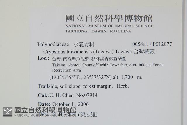 Accession Number:P012077 Collection Image, Figure 2, Total 2 Figures