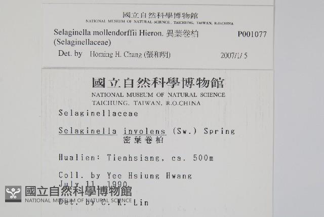 Accession Number:P001077 Collection Image, Figure 2, Total 2 Figures