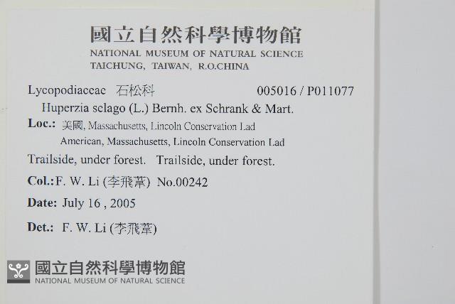 登錄號:P011077藏品圖，第5張