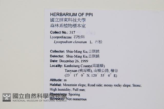 石松藏品圖，第2張