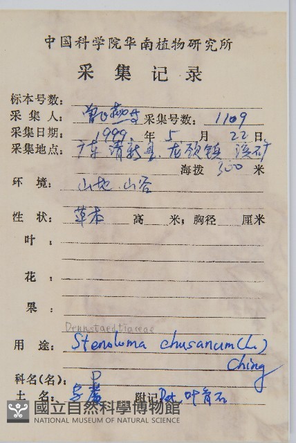 烏蕨藏品圖，第2張