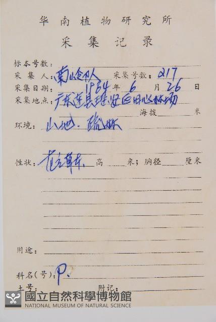 厚葉雙蓋蕨藏品圖，第2張