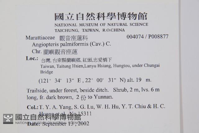 蘭嶼觀音座蓮藏品圖，第2張