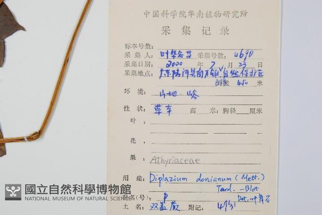 Accession Number:P008977 Collection Image, Figure 2, Total 5 Figures