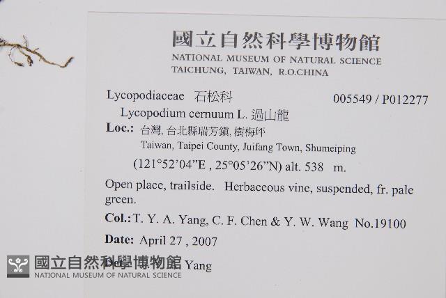 過山龍藏品圖，第2張