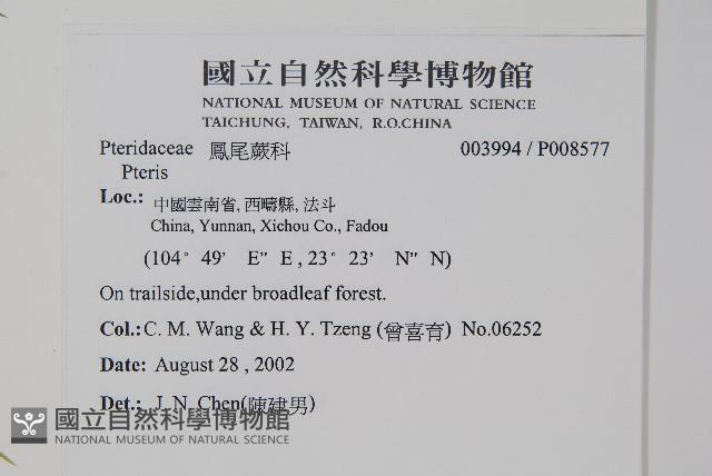 登錄號:P008577藏品圖，第2張