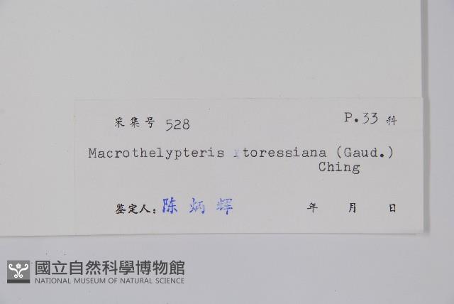 Accession Number:P004187 Collection Image, Figure 2, Total 2 Figures