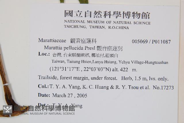 觀音座蓮舅藏品圖，第2張