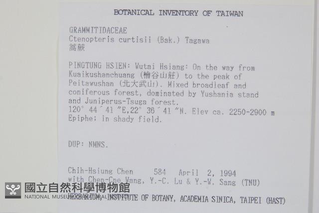 蒿蕨藏品圖，第2張