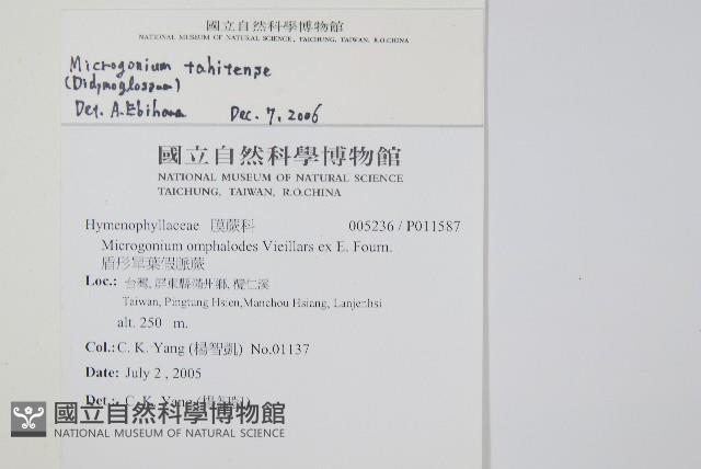 登錄號:P011587藏品圖，第2張