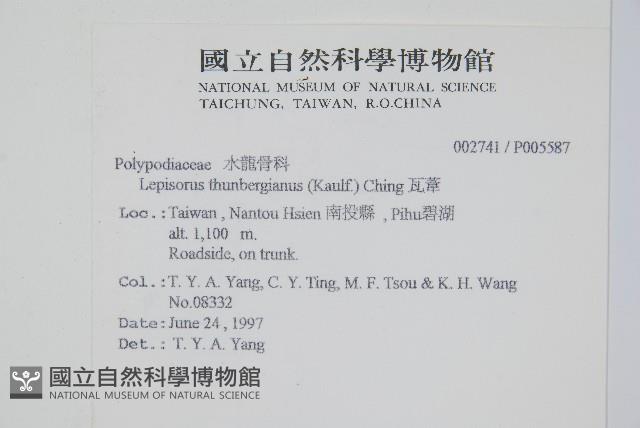 瓦葦藏品圖，第2張