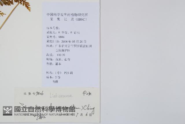 烏蕨藏品圖，第2張