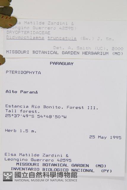 登錄號:P008487藏品圖，第2張