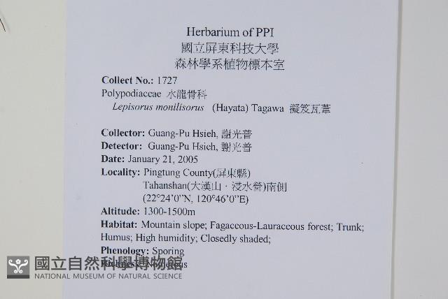 擬芨瓦葦藏品圖，第2張