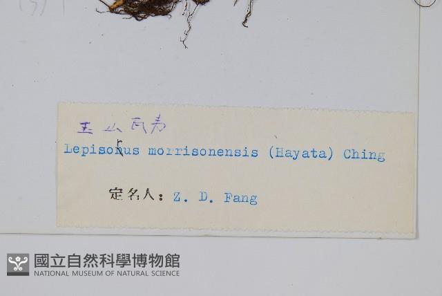 玉山瓦葦藏品圖，第2張