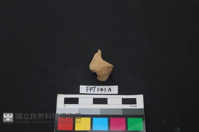 哺乳類動物骨藏品圖，第2張