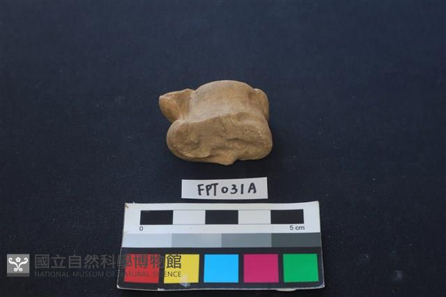 鹿骨藏品圖，第2張