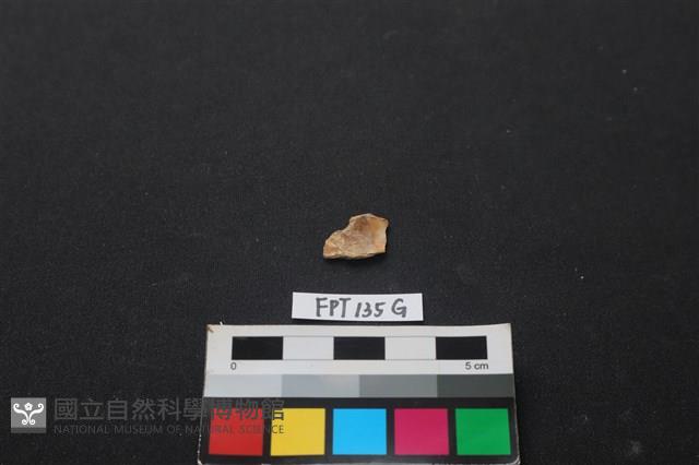 魚骨藏品圖，第2張