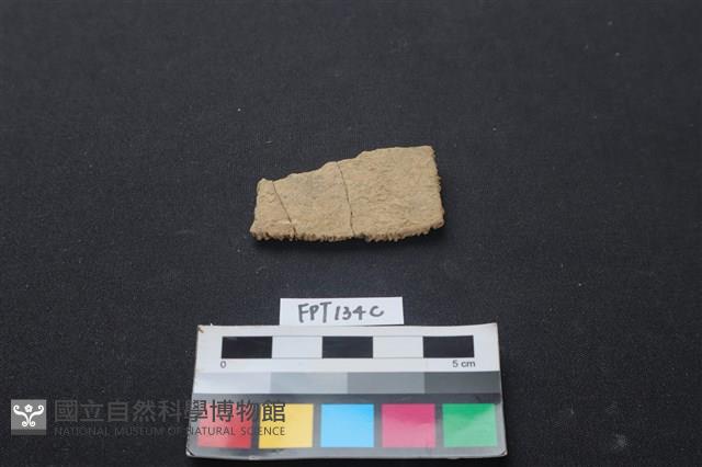龜骨藏品圖，第2張