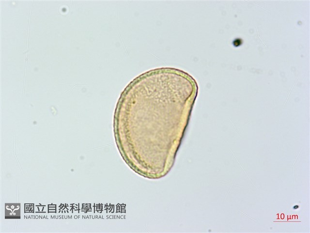登錄號:P014152藏品圖，第2張