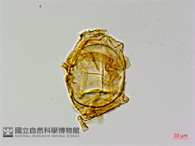 登錄號:P015167藏品圖，第2張