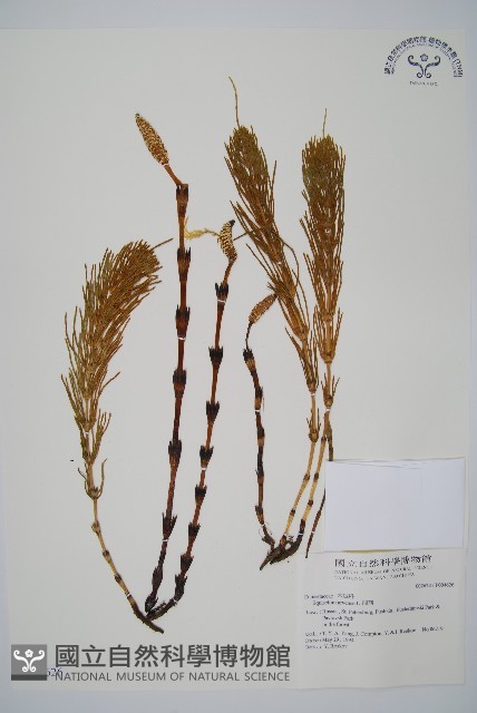 問荊藏品圖，第1張