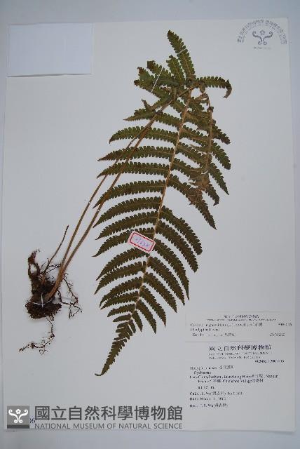 Accession Number:P007006 Collection Image, Figure 1, Total 2 Figures