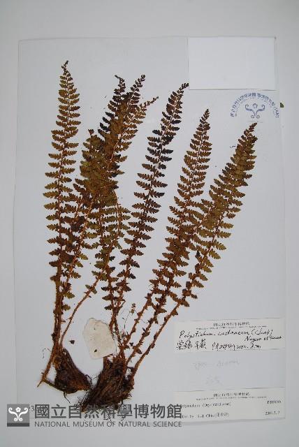 Accession Number:P003666 Collection Image, Figure 1, Total 2 Figures