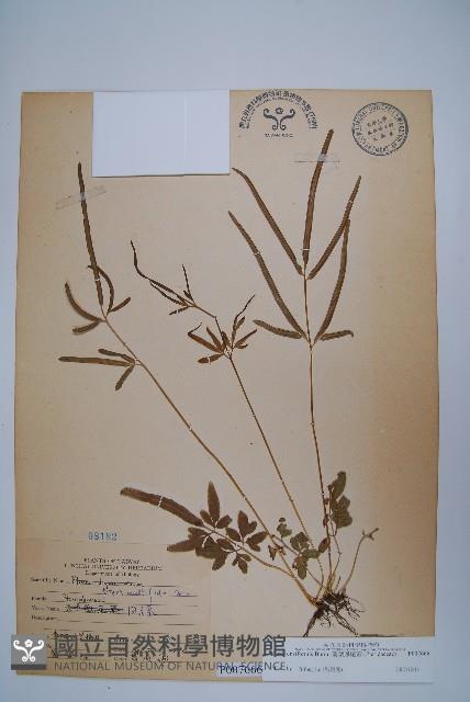 Sword brake Collection Image, Figure 1, Total 2 Figures