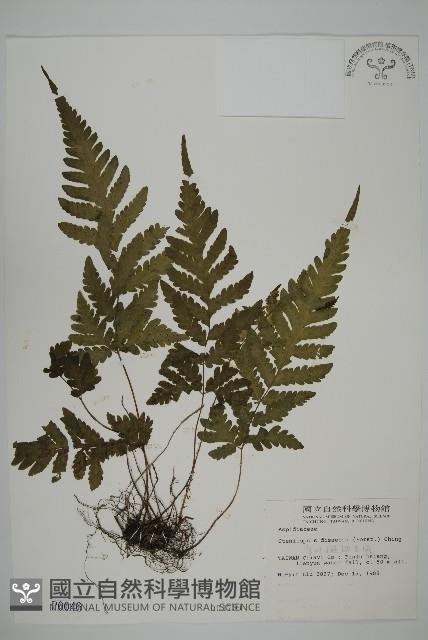 Accession Number:P000046 Collection Image, Figure 1, Total 5 Figures