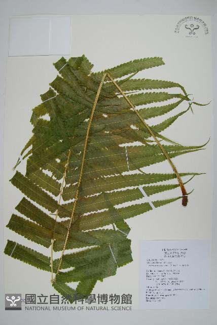 Accession Number:P011402 Collection Image, Figure 1, Total 2 Figures