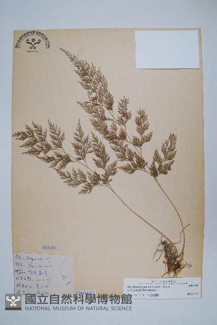 Accession Number:P008012 Collection Image, Figure 1, Total 2 Figures