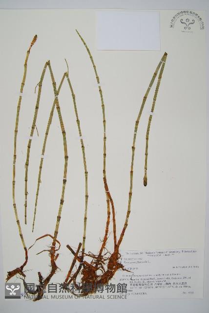 登錄號:P008092藏品圖，第1張