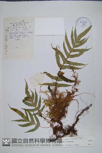 Accession Number:P003792 Collection Image, Figure 1, Total 2 Figures