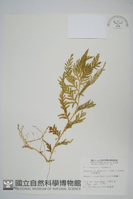 Accession Number:P002492 Collection Image, Figure 1, Total 2 Figures