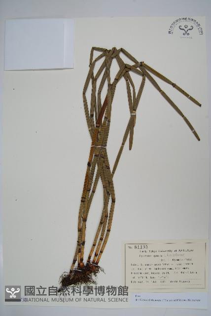 Accession Number:P012732 Collection Image, Figure 1, Total 2 Figures