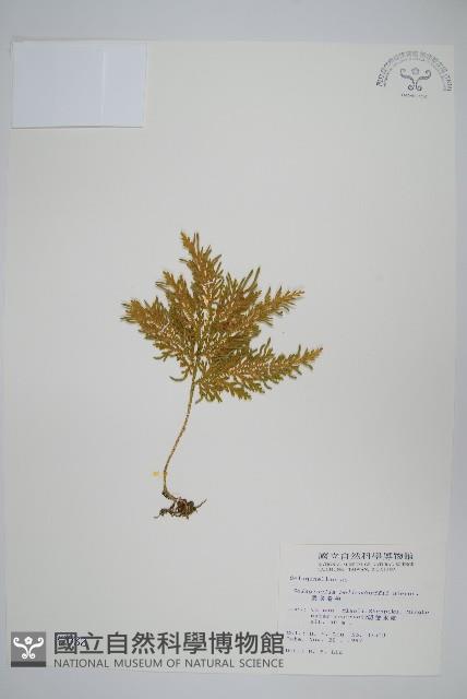 Accession Number:P002032 Collection Image, Figure 1, Total 2 Figures